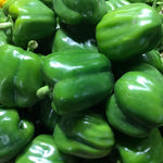 Bell Pepper Green (1/2 Kilo)