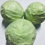 Cabbage / Repolyo  (900g - 1kg)