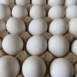 Egg / Fresh White Egg (Large 30 Pcs.)