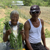 String Beans / Sitaw (1/2 kg)