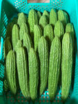 Ampalaya (900g - 1kg)