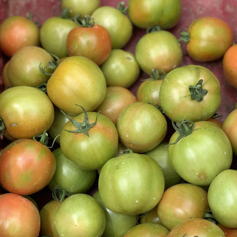 Tomato / Kamatis (1/2 Kg)