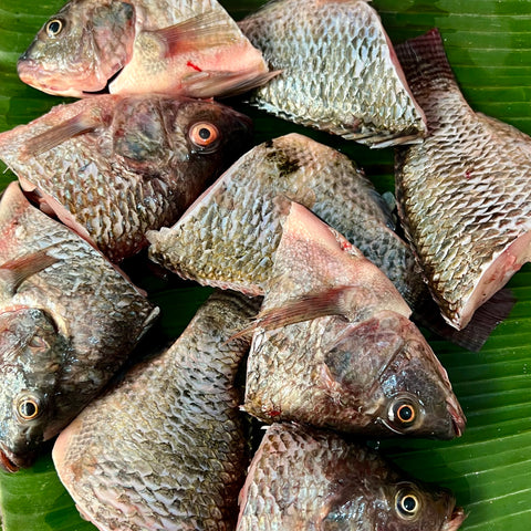 Tilapia Cleaned Sinigang / Prito Cut (450-500g)