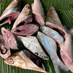 Bangus Cleaned Sinigang / Prito Cut (450 - 500g)