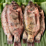 TILAPIA CLEANED INIHAW WHOLE (450 - 500G)