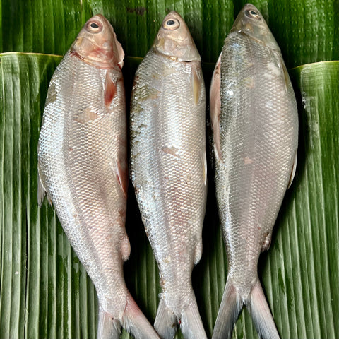 Bangus Cleaned  InihaW Whole (450 - 500g)