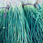 Onion Spring (1/4 Kilo)