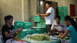 String Beans / Sitaw (1/2 kg)