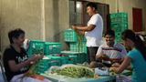 String Beans / Sitaw (1/2 kg)