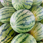 Water Melon (Large 6 Kilos)