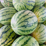 Water Melon (Large 6 Kilos)