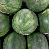 Water Melon Seedless (6 Kilos)