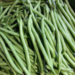 Baguio Beans 1 Kilo. Online Palengke and Online Grocery. Rare Palengke Items, Farmers' Specialty, Fruits & Veggies, Condiments, Rice, Seafood. 