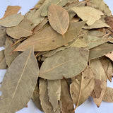 Bay Leaf / Laurel (1 pack)