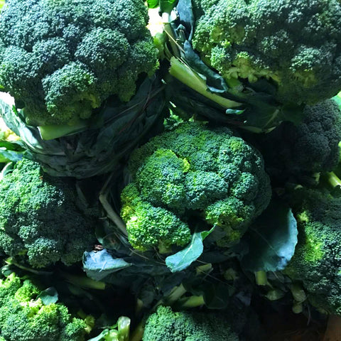 Broccoli (900g - 1.1 Kilo)