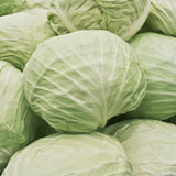 Cabbage / Repolyo  (900g - 1kg)