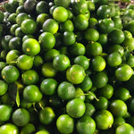 Calamansi (1/2 kg)