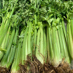 Celery (1/2 Kilo)