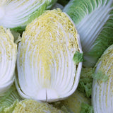 Chinese Cabbage / Petchay Baguio (900g - 1.1 Kilos)