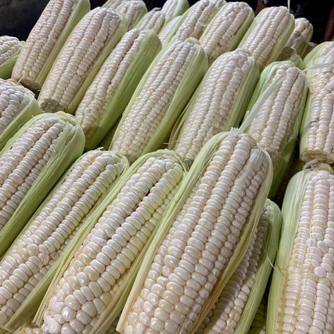 Corn White or Purple White (900g - 1.1 Kilos)