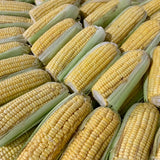 Corn Yellow / Sweet Corn (900g - 1.1 Kilo)