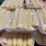 Corn (Young Corn) 3 Packs