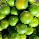 Dalandan Seedless (1.9 - 2.1 Kilos)