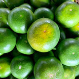 Dalandan Seedless (1.9 - 2.1 Kilos)