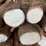 Cassava / Kamuting Kahoy (900g - 1.1 Kg.)