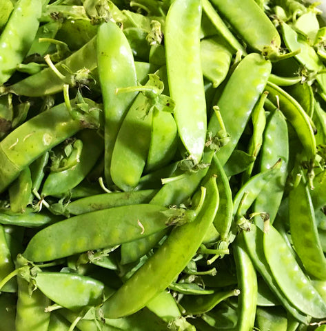 Garden Pea / Sitsaro  (1/ 2 Kilo)