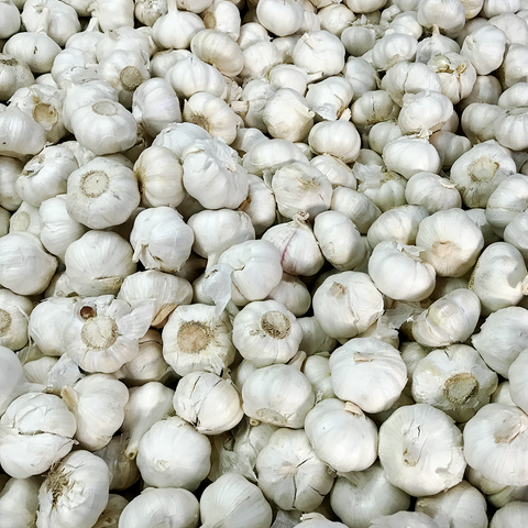 Garlic Imported Wholesale (P100 x 10 Kilos) Sorted 1st Class