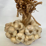 Garlic Ilocos Native (1/4 Kilo)