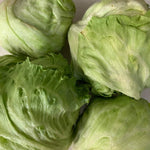 Lettuce Iceberg (900g - 1.1 Kilo)