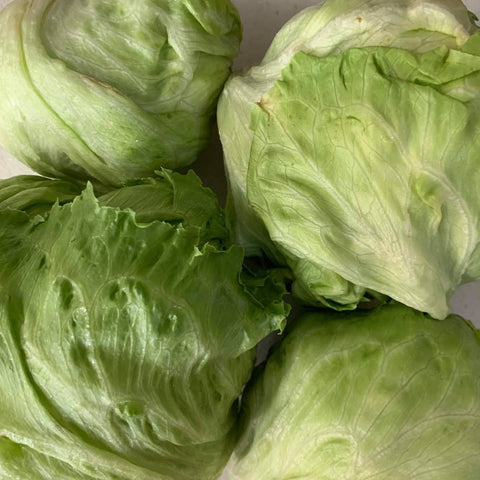 Lettuce Iceberg (900g - 1.1 Kilo)