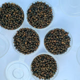 Black Pepper / Paminta (5oz)