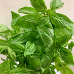 Basil / Sweet Basil (1/4 kilo)