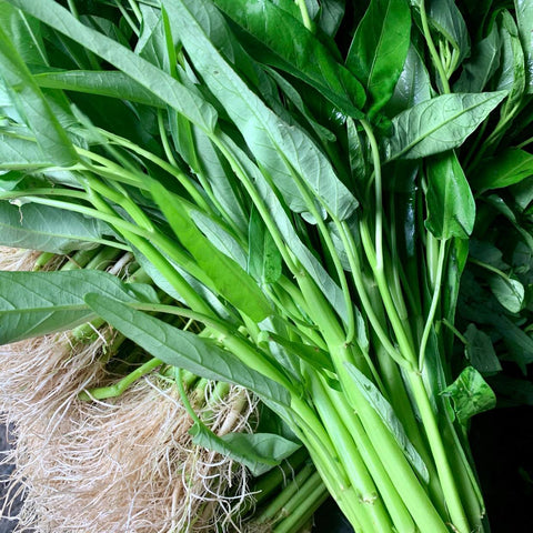 Kangkong / Chinese Kangkong (1/2 Kilo)