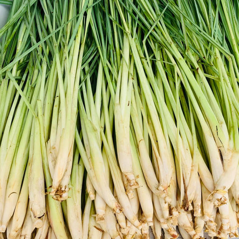 Lemongrass / Tanglad (1/4 Kilo)