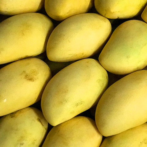 Mango First Class (900g - 1.1 Kilos)