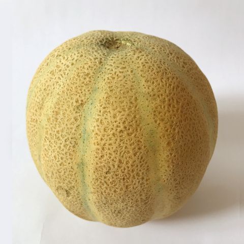 Melon (2-3 Kilos)