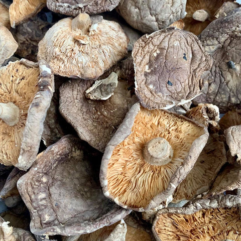 Dried Mushroom Shiitake (100 Grams)