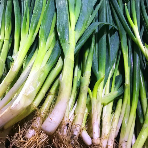 Onion Leeks (1/4 Kilo)