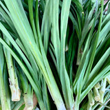 Pandan Leaves (per bundle)