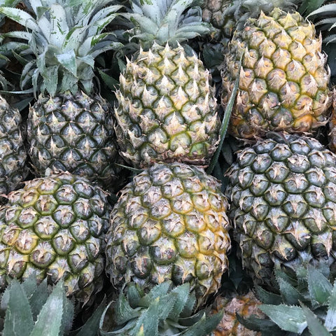 Pineapple Formosa Bicol (Per Piece)