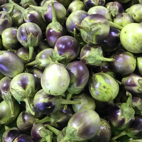 Eggplant Round (1/2 Kilo)