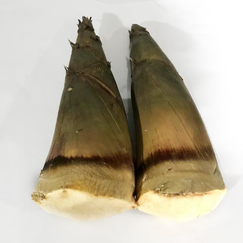 Bamboo Shoot / Labong (900-1.1 Kilos)