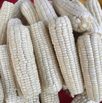 Corn White or Purple White (900g - 1.1 Kilos)